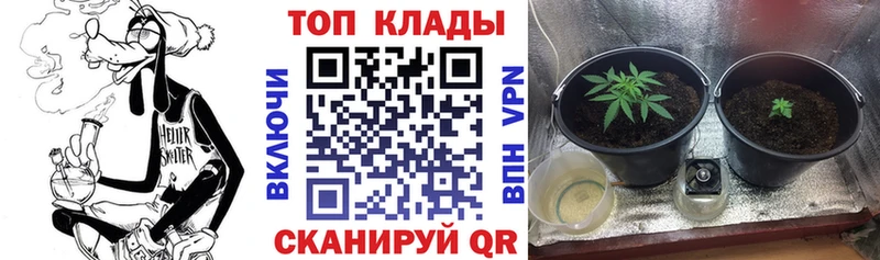 Наркота Луза Cocaine Мефедрон ГЕРОИН A-PVP Бошки Шишки ГАШИШ